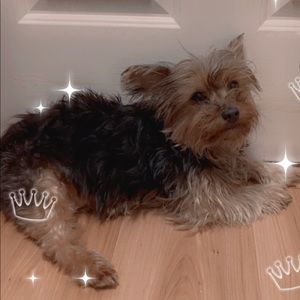 Meet your Posher, Madilynn